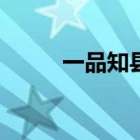 一品知县（关于一品知县的介绍）