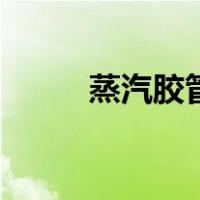 蒸汽胶管（关于蒸汽胶管的介绍）