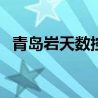 青岛岩天数控（关于青岛岩天数控的介绍）