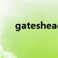 gateshead（关于gateshead的介绍）