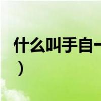 什么叫手自一体（关于什么叫手自一体的介绍）