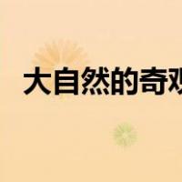 大自然的奇观（关于大自然的奇观的介绍）