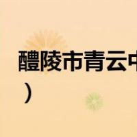 醴陵市青云中学（关于醴陵市青云中学的介绍）