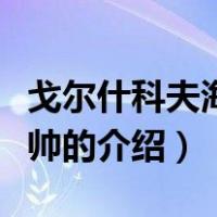 戈尔什科夫海军元帅（关于戈尔什科夫海军元帅的介绍）