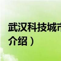 武汉科技城市学院（关于武汉科技城市学院的介绍）