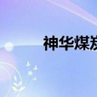 神华煤炭（关于神华煤炭的介绍）