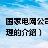 国家电网公司总经理（关于国家电网公司总经理的介绍）