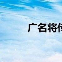 广名将传（关于广名将传的介绍）