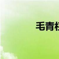 毛青杠（关于毛青杠的介绍）