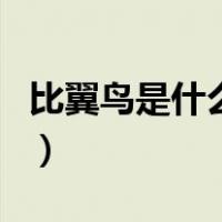 比翼鸟是什么鸟（关于比翼鸟是什么鸟的介绍）