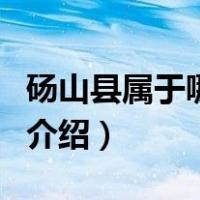 砀山县属于哪个市（关于砀山县属于哪个市的介绍）