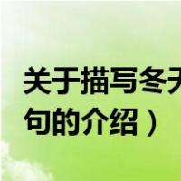 关于描写冬天的诗句（关于关于描写冬天的诗句的介绍）