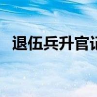 退伍兵升官记（关于退伍兵升官记的介绍）