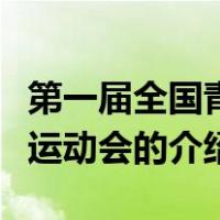 第一届全国青年运动会（关于第一届全国青年运动会的介绍）