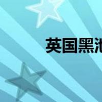 英国黑池（关于英国黑池的介绍）
