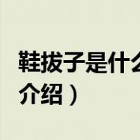 鞋拔子是什么意思（关于鞋拔子是什么意思的介绍）