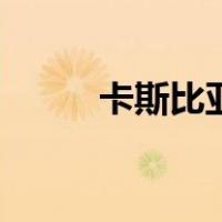 卡斯比亚（关于卡斯比亚的介绍）