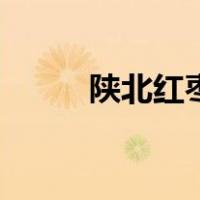 陕北红枣（关于陕北红枣的介绍）