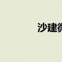 沙建微（关于沙建微的介绍）