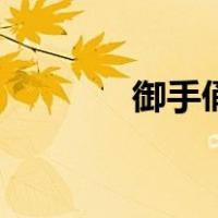 御手俑（关于御手俑的介绍）