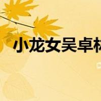 小龙女吴卓林（关于小龙女吴卓林的介绍）