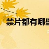 禁片都有哪些（关于禁片都有哪些的介绍）