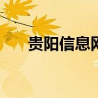 贵阳信息网（关于贵阳信息网的介绍）