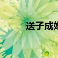 送子成婚（关于送子成婚的介绍）