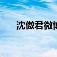沈傲君微博（关于沈傲君微博的介绍）