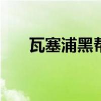 瓦塞浦黑帮（关于瓦塞浦黑帮的介绍）