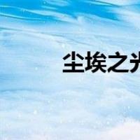 尘埃之光（关于尘埃之光的介绍）