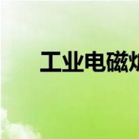 工业电磁炉（关于工业电磁炉的介绍）