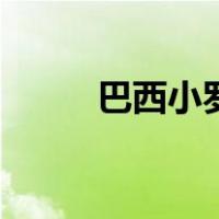 巴西小罗（关于巴西小罗的介绍）