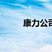 康力公司（关于康力公司的介绍）