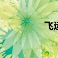 飞远（关于飞远的介绍）