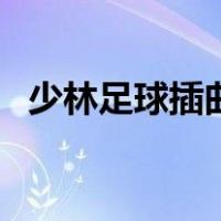 少林足球插曲（关于少林足球插曲的介绍）