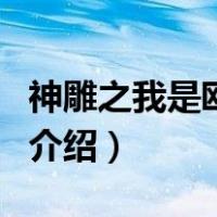 神雕之我是欧阳克（关于神雕之我是欧阳克的介绍）