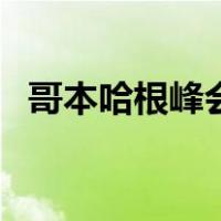 哥本哈根峰会（关于哥本哈根峰会的介绍）