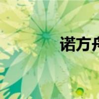 诺方舟（关于诺方舟的介绍）