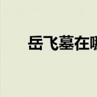岳飞墓在哪（关于岳飞墓在哪的介绍）