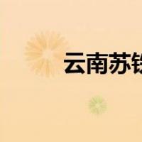 云南苏铁（关于云南苏铁的介绍）