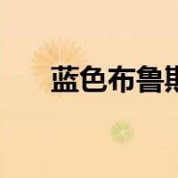 蓝色布鲁斯（关于蓝色布鲁斯的介绍）
