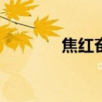 焦红奋（关于焦红奋的介绍）
