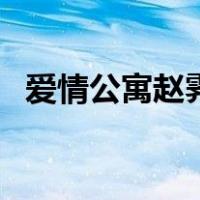 爱情公寓赵霁（关于爱情公寓赵霁的介绍）