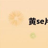 黄se片（关于黄se片的介绍）