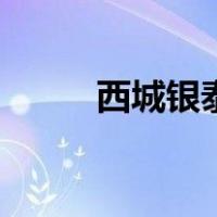 西城银泰（关于西城银泰的介绍）