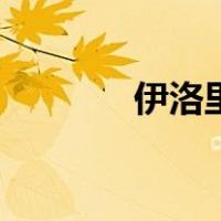 伊洛里（关于伊洛里的介绍）