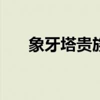 象牙塔贵族（关于象牙塔贵族的介绍）