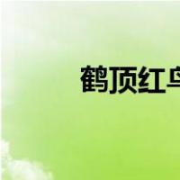 鹤顶红鸟（关于鹤顶红鸟的介绍）