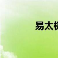 易太极（关于易太极的介绍）